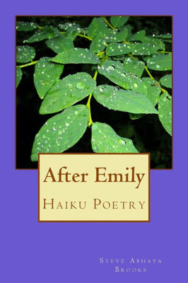 After Emily: Poetry by Steve Abhaya Brooks