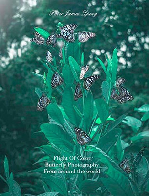 Flight of colorButterfly Photographers - Hardcover
