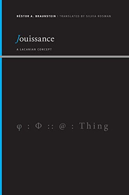 Jouissance: A Lacanian Concept (SUNY series, Insinuations: Philosophy, Psychoanalysis, Literature)