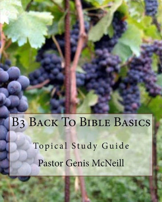 B3 Back To Bible Basics: Topical Study Guide