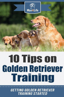 10 Tips on Golden Retriever Training: Getting Golden Retriever Training Started!