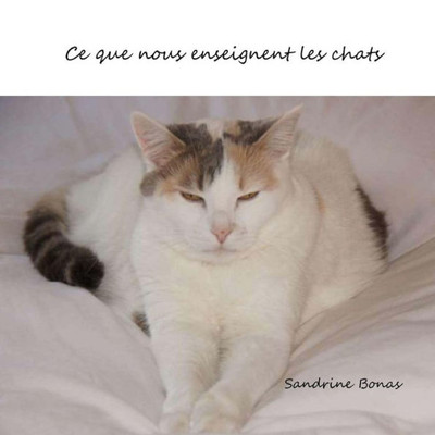 Ce que nous enseignent les chats (French Edition)