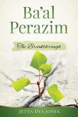 Ba'al Perazim: The Breakthrough