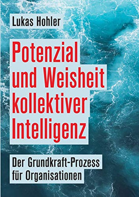 Potenzial und Weisheit kollektiver Intelligenz: Der Grundkraft-Prozess für Organisationen (German Edition) - Paperback