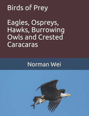 Birds of Prey: Eagles, Ospreys, Hawks, burrowing owls and crested caracaras