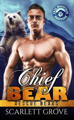 Chief Bear (Rescue Bears)