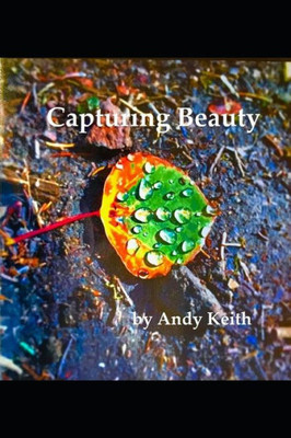 Capturing Beauty: Everyday Beauty in Colorado