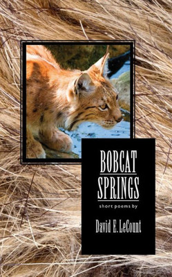 Bobcat Springs