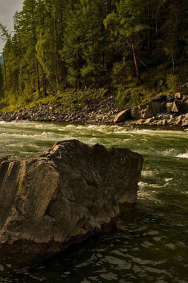 A FAST CREEK: Rapids are characterized by the river becoming shallower with some rocks exposed above the flow surface. As flowing water splashes over ... it and portions of the surface a white color.