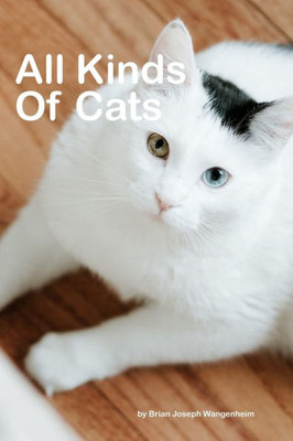 All Kinds Of Cats: beautiful pictures of cats