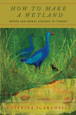 How to Make a Wetland: Water and Moral Ecology in Turkey - Paperback