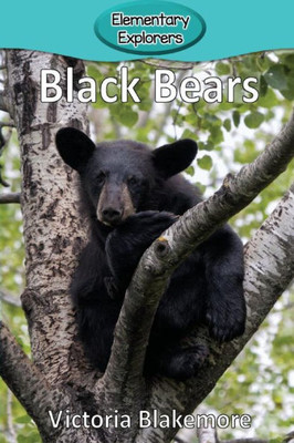 Black Bears (40) (Elementary Explorers)