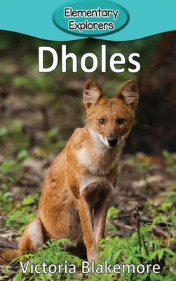 Dholes (Elementary Explorers)