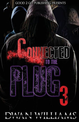 Connected to the Plug 3 (3)