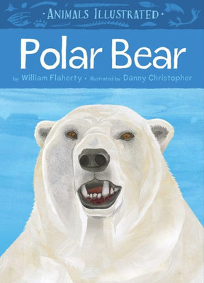 Animals Illustrated: Polar Bear (Animals Illustrated, 1)