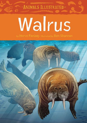 Animals Illustrated: Walrus (Animals Illustrated, 4)