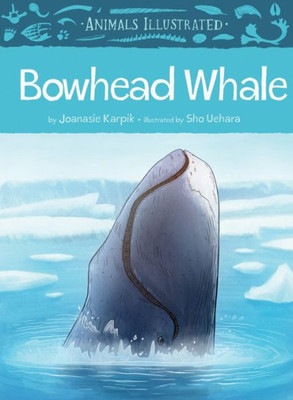 Animals Illustrated: Bowhead Whale (Animals Illustrated, 5)