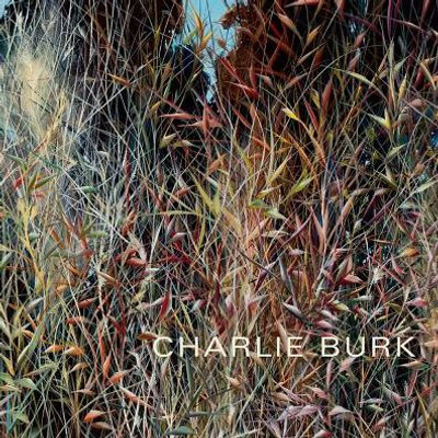 Charlie Burk: Journey in Abstraction