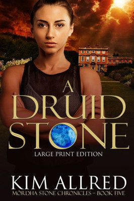 A Druid Stone: A Time Travel Romantic Adventure, Book 5 (Mórdha Stone Chronicles)