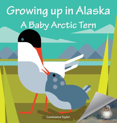 Growing Up in Alaska: A Baby Arctic Tern