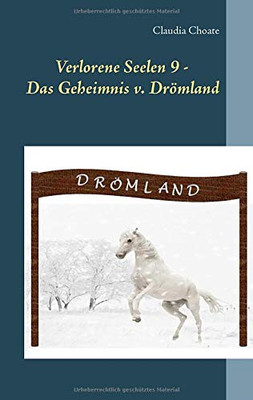 Verlorene Seelen 9 - Das Geheimnis von Drömland (German Edition)