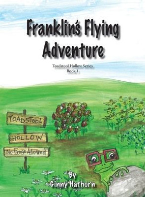 Franklin's Flying Adventure (1)