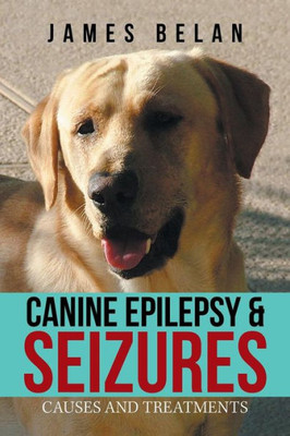 Canine Epilepsy & Seizures: Causes and Treatments