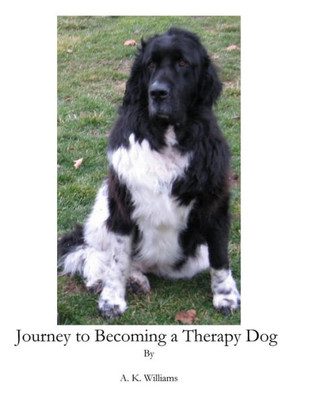 Journey To Becoming a Therapy Dog