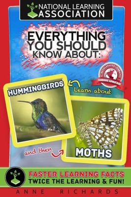 Everything You Should Know About Hummingbirds and Moths