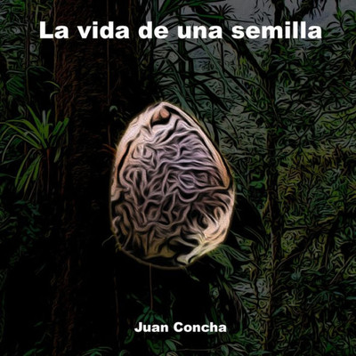La vida de una semilla (Spanish Edition)