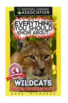 Everything You Should Know About: Wildcats