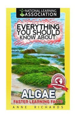 Everything You Should Know About Algae