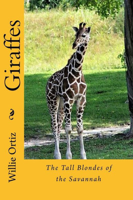 Giraffes: The Tall Blondes of the Savannah