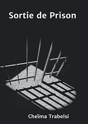 Sortie de Prison (French Edition)