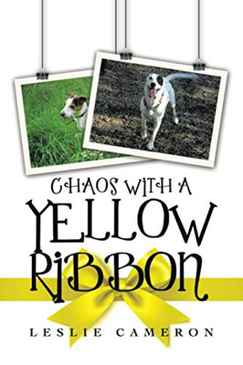Chaos with a Yellow Ribbon