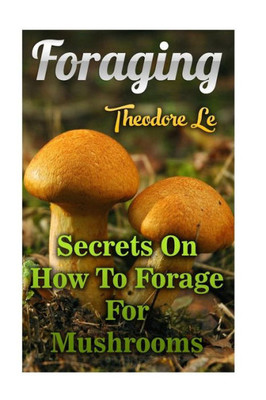 Foraging: Secrets On How To Forage For Mushrooms