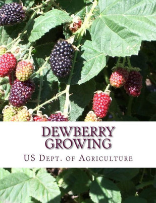 Dewberry Growing: Farmers' Bulletin 1403