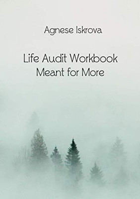 Life Audit Workbook: Meant for More