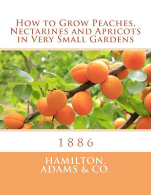 How to Grow Peaches, Nectarines and Apricots in Very Small Gardens: 1886
