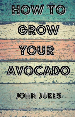 How To Grow Your Avocado