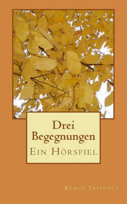 Drei Begegnungen: Ein Hörspiel (German Edition)