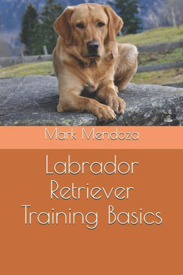 Labrador Retriever Training Basics