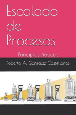Escalado de Procesos: Principios Básicos (Spanish Edition)