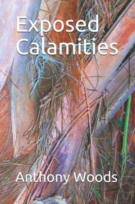 Exposed Calamities (Storm of Souls)