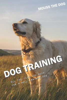 DOG TRAINING: All the tips you need for a well-trained dog