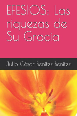 EFESIOS: Las riquezas de Su Gracia (Comentarios bíblicos) (Spanish Edition)