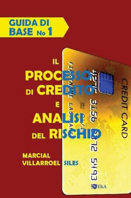 GUIDA DI BASE Il processo di credito e analisi del rischio (Analisi del rischio di credito) (Italian Edition)