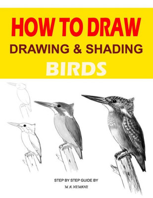 Drawing and shading Birds: How to draw