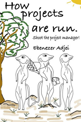 How projects are run: Shoot the project manager!