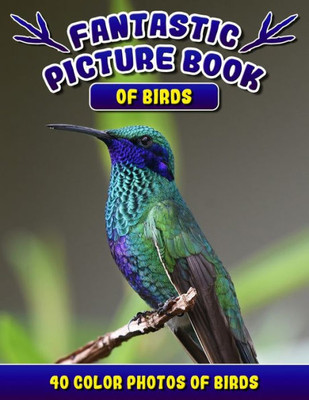 Fantastic Picture Book of Birds. 40 Color Photos of Birds: Bird Names Picture Book Gift for Adults with Alzheimer's or Dementia.